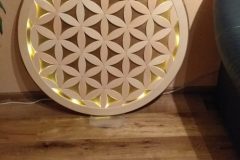 Blume-des-Lebens-scaled
