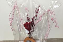 IMG-20230309-WA0000